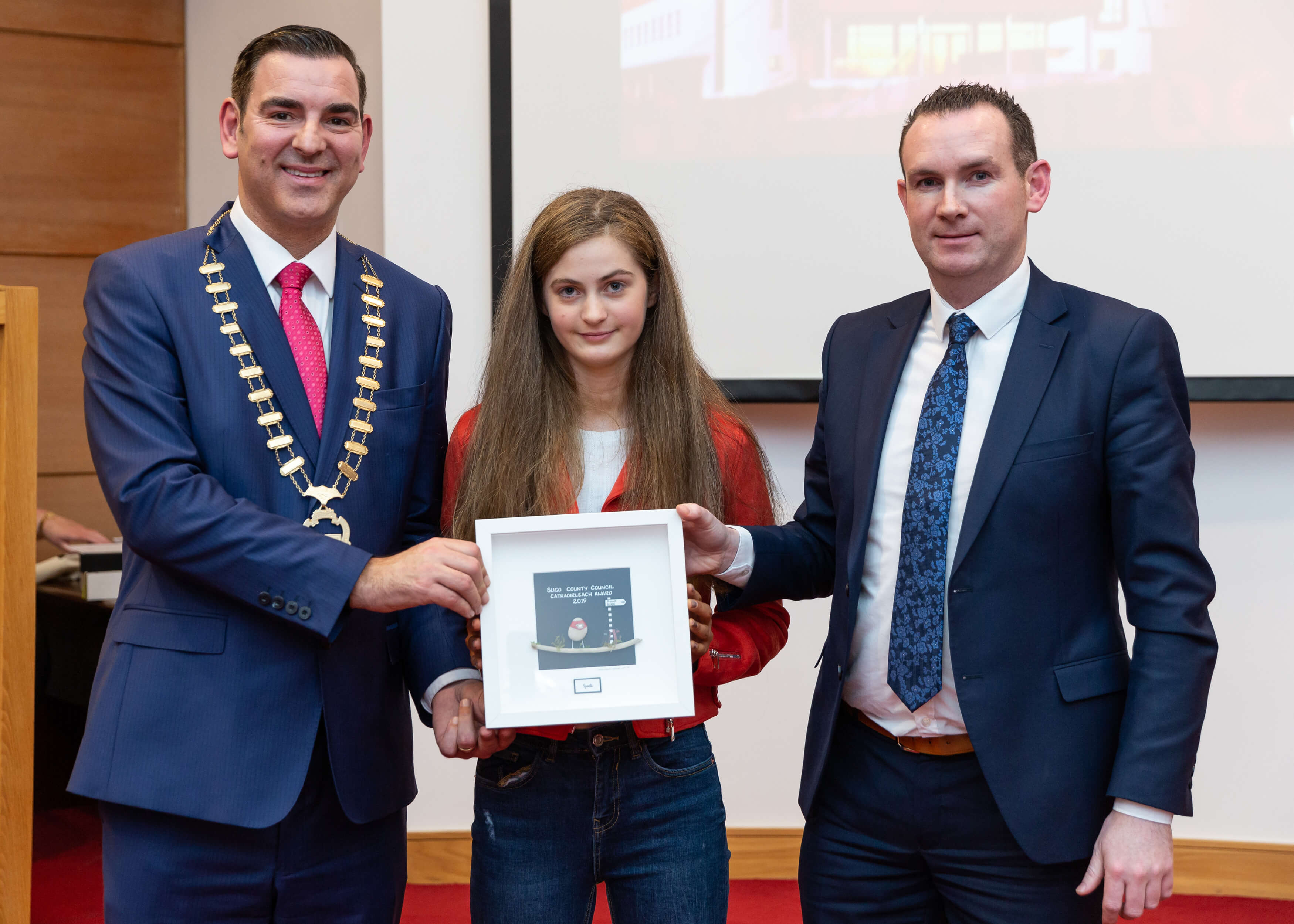 Local Volunteers Honoured at Cathaoirleach’s Awards Ceremony Photo 8